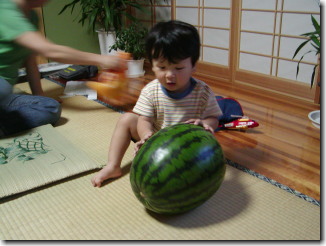 �W�D�T����������X�C�J�B�b���͂��낪���̂�����t