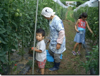 ���ʂ̖�ؔ��ɂ�