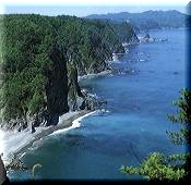 �����C��