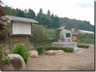 �e�n�m�E�̔�