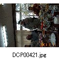 DCP00421.jpg[640$B!_(B480]