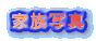 �Ƒ��ʐ^