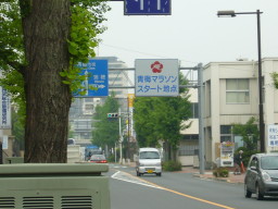 080503oume.jpg