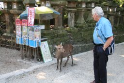 kasuga-taisha06-03.jpg