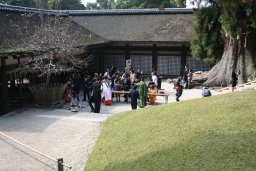 kasuga-taisha06-05.jpg