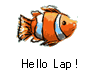 (J Hello Lap ! (B