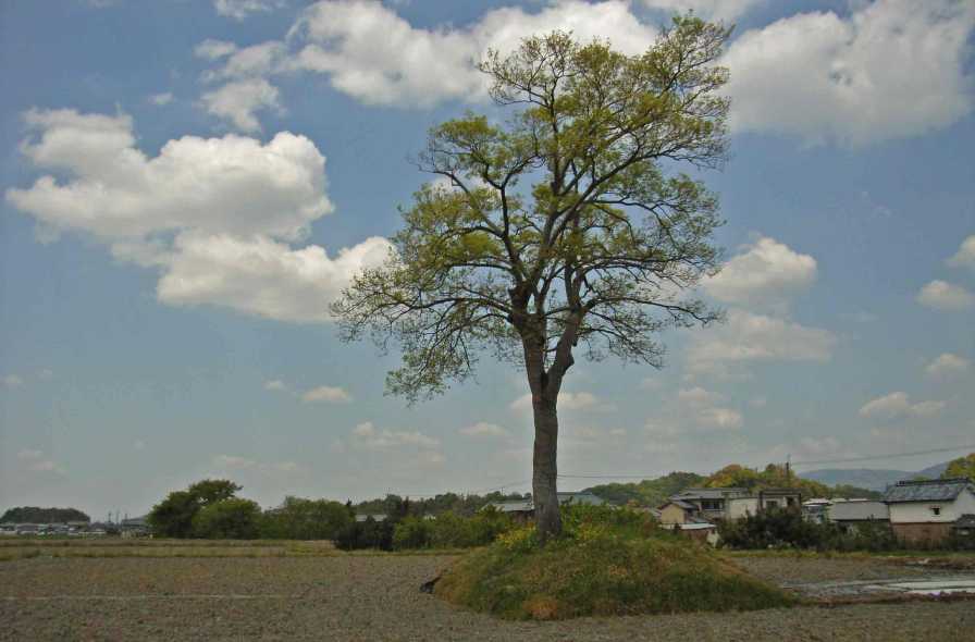 00-07.JPG