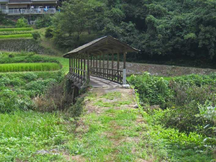 tamaru.02.jpg