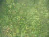 kakita0079.JPG (76805 oCg)