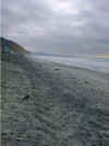 delmar_beach.jpg (17147 oCg)