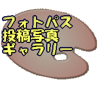 �t�H�g�p�X ���e�ʐ^ �M�������[