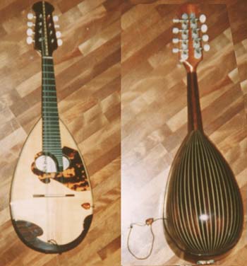 Mandolin