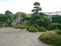 bY뉀