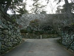 隬