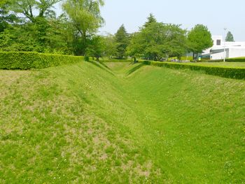 qnőx