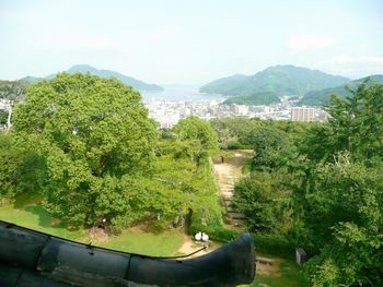 FaV炩̒