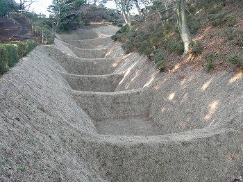 ̊ېՓ쑤̏qx