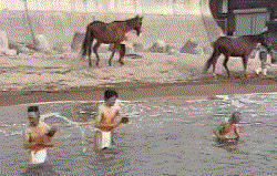 �C���ł��S��