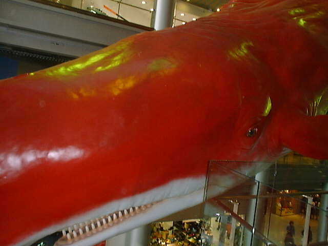 HEP �N�W���A�A�b�v