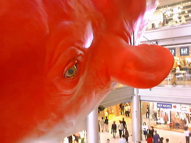 HEP �ڋʒ��A�b�v