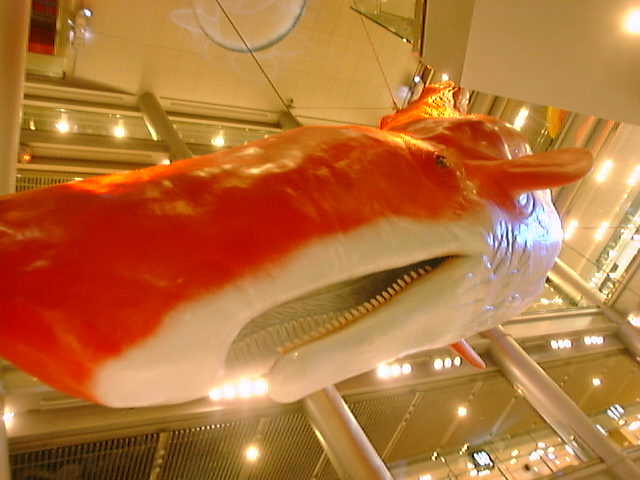 HEP �����猩�グ���Ƃ���