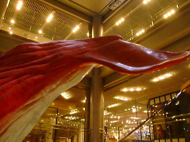 HEP ������