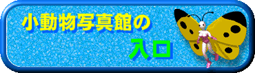 �ʐ^�ٓ���