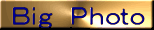�g��{�^��