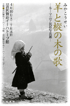 ���[�}�j�A�����ʐ^�W