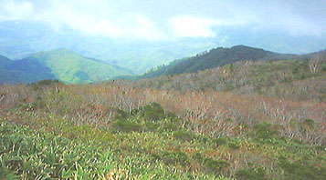 �������班���s����
�_�ɉB�ꂽ���R�֗����Ă���
�J�����΂炵���B