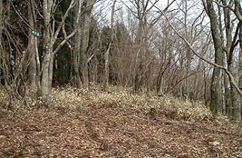 �J�ΎR�R��