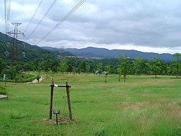 �u�X�̍L��v