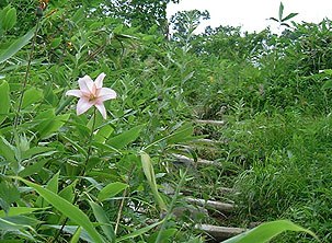 �T�T����