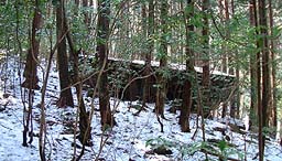 �e�[�u����̊�