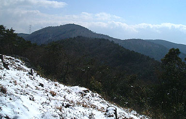 ��625m�R����