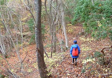 ������R�[�X