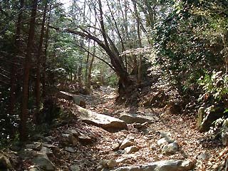 ���H�k�J��������