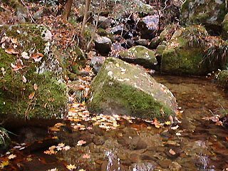 ������R�[�X�̑�