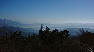 �����킸��