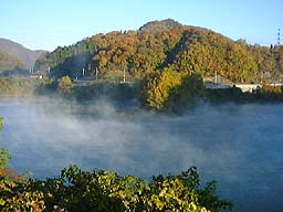 �m���΂̒�