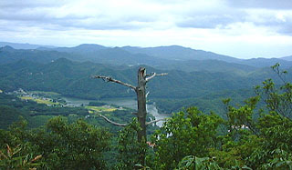 ���R����