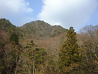 ��̏�����グ��