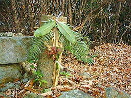 ���n������̒��A��