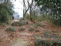 �����_�Ђ����̓W�]��