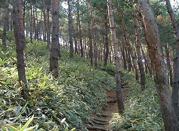 719m�s�[�N��