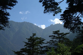 ���x�Ɛ�U��