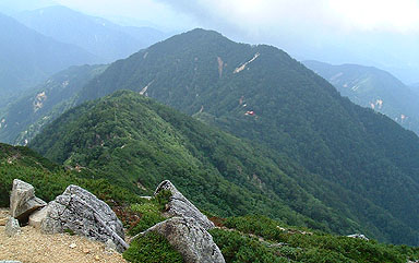 ����������