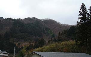 冬枯れ