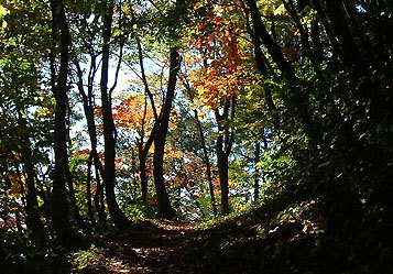 ����R�[�X�����O�̓�