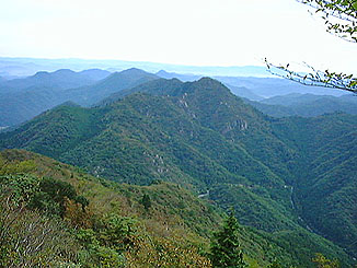 �������x